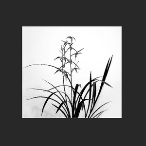 "野草"中国风&Jersey Club&Drill Type Beat