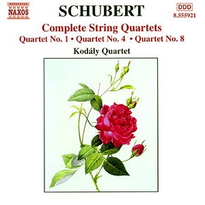 String Quartet No. 1 in G Minor / B-Flat Major, D. 18:I. Andante - Presto vivace