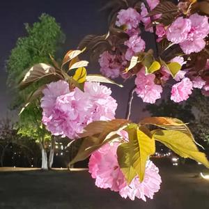 这世界是那么多人