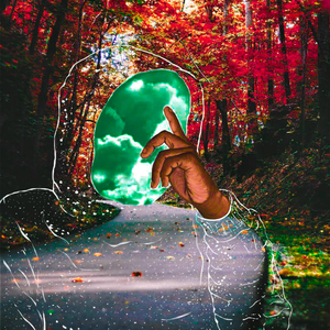 Deoxyribonucleic Acid