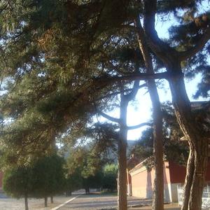 Lil Mark-点将台/崂山道士