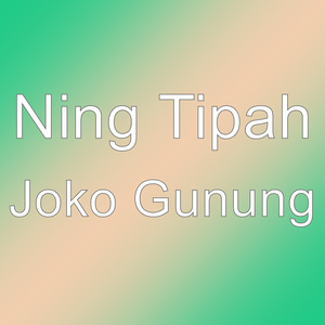 Joko Gunung