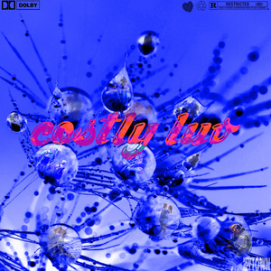 costly luv
