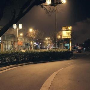 诺言（烟嗓版）