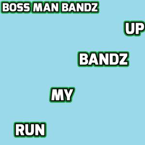 Run My Bandz Up