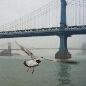 Talk Of The Towns (feat. 3evie Wonder)