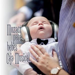 Sonata No. 11 in a Major, Kv 331 (e 300i) (1778), Mov 2 Menuetto