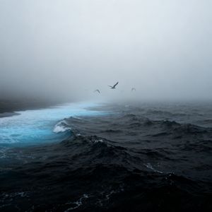 我们终究没到最后