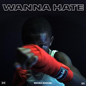 Wanna Hate