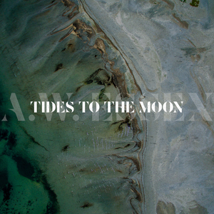 Tides to the Moon