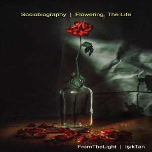 His Marriage: Wedding on the Mountain