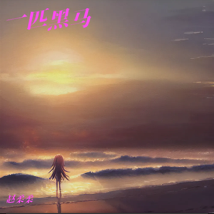 一匹黑马纯吉他版