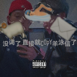 没词了 直接就copy羊泳信了