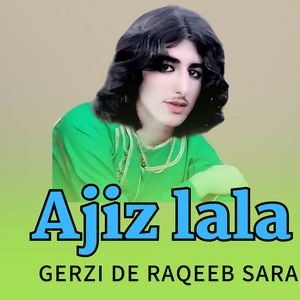 Gerzi De Raqeeb Sara