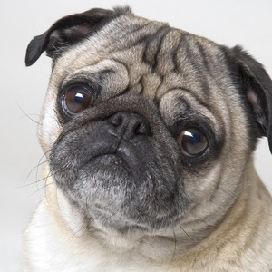 灵感中的催眠曲（DEMO）