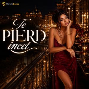 Te PIERD încet