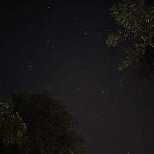 微醺夜的爵士私语