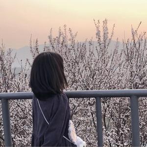 一首不太甜的歌