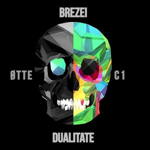 Dualitate