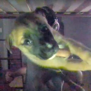 WHERE U FROM (feat. stainomh, THEHOMEBOIII & n1lu)