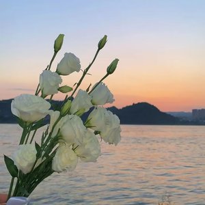 再见、再也不见