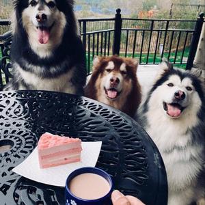 Moonlight（Moonlight）（翻自 lil MILK）（翻自 lil MILK）