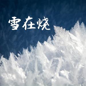 雪在烧