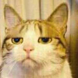 梦一场（翻自 阿虾）