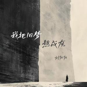 我把旧梦熬成灰