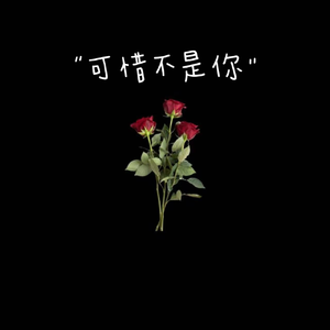 可惜不是你