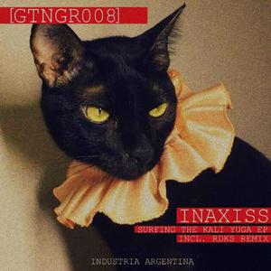 Surfing the Kali Yuga (RDKS Remix)