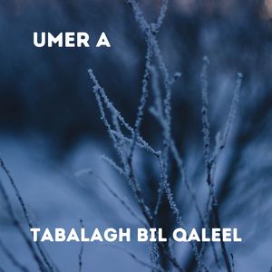 Tabalagh Bil Qaleel