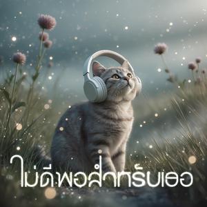 ไม่ดีพอสำหรับเธอ