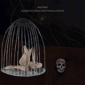 Daylight (Home Shell Remix)