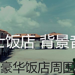 优美酒店大堂器乐