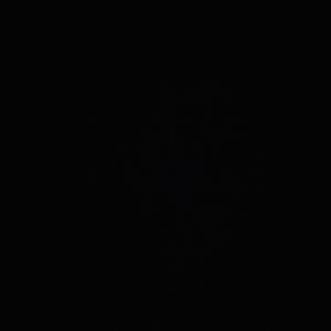 demo（prod.by Morrow)