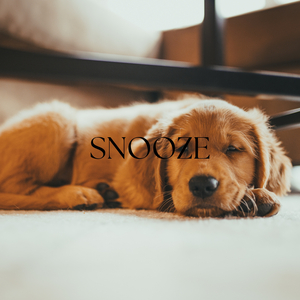 Snooze