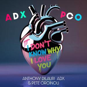 I DON'T KNOW WHY I LOVE YOU