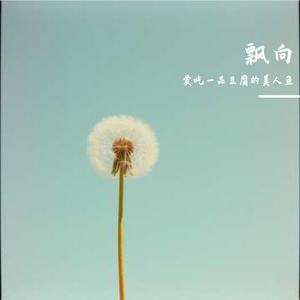 候鸟遗落的羽毛