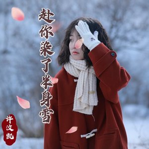 赴你染了半身雪
