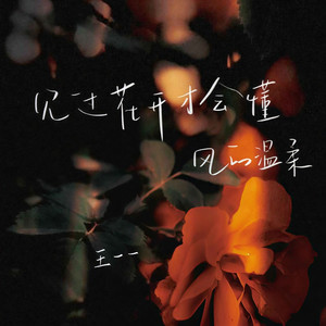 见过花开才会懂风的温柔