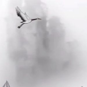 一意孤行 伴奏