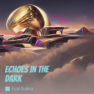 Echoes in the Dark