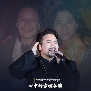 心中的雪域杜鹃