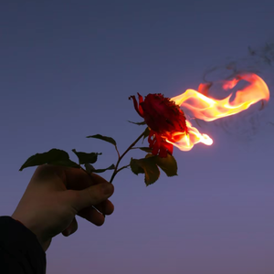 逃不出没你的世界