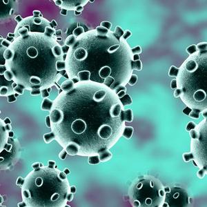 Coronavirus Diss