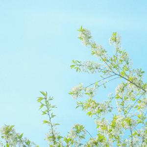 ティーンエイジドラマ