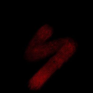 sasitype freestyle（prod.by BDnoLuv)