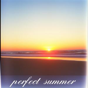 perfect summer (feat. pøøk)