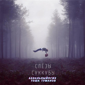 Слёзы Суккубы